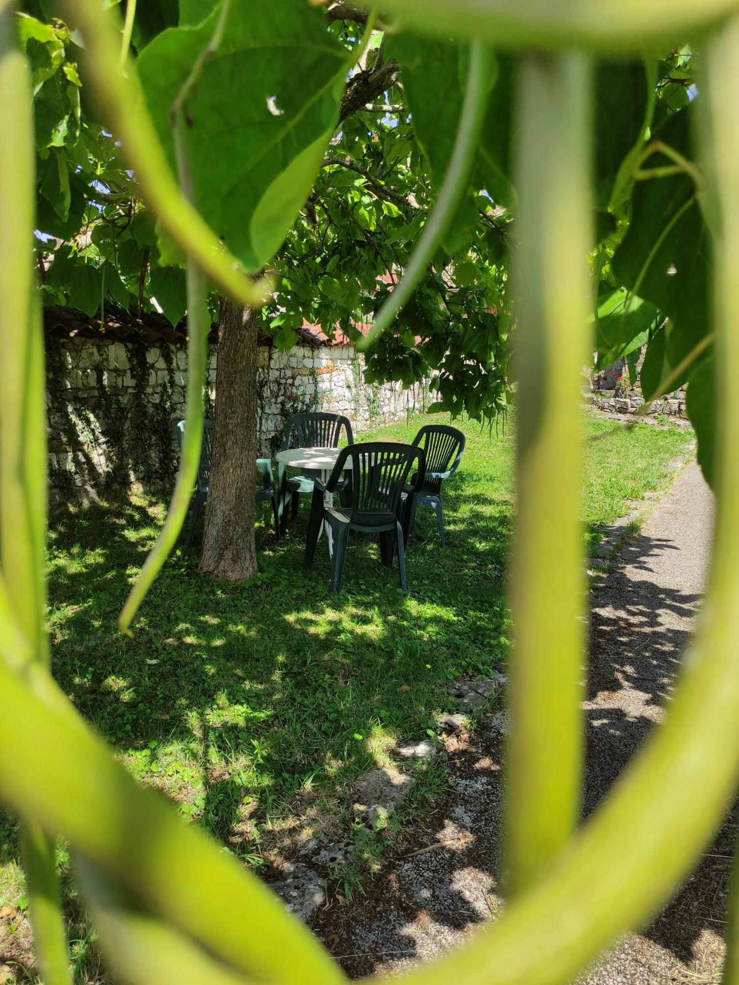 Maison De Charme Avec Jardin Cousance