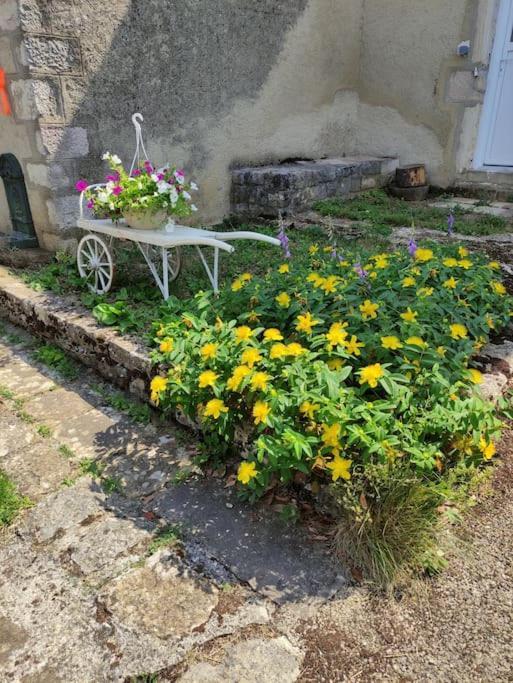 Maison De Charme Avec Jardin